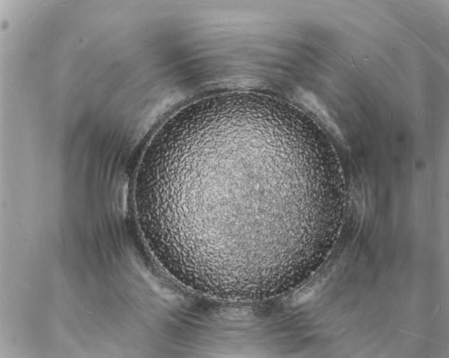 X0000088070110200705182216