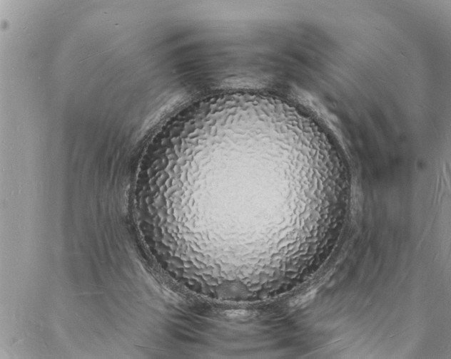 X0000088070153200705182215