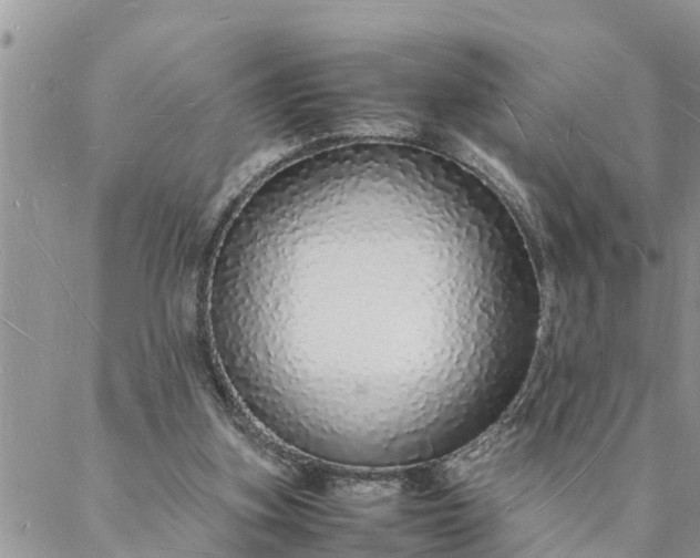 X0000088070155200705182215