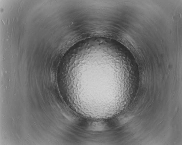 X0000088070173200705182215