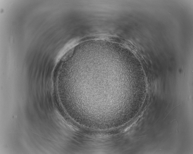 X0000088070198200705182215