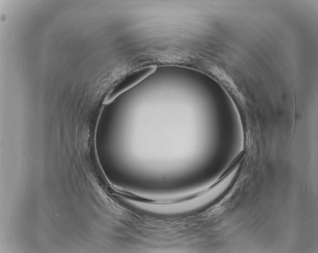X0000088070201200705182215