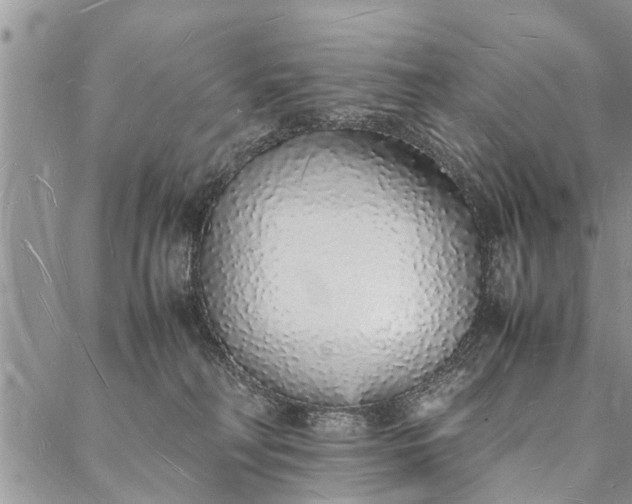 X0000088070230200705182214