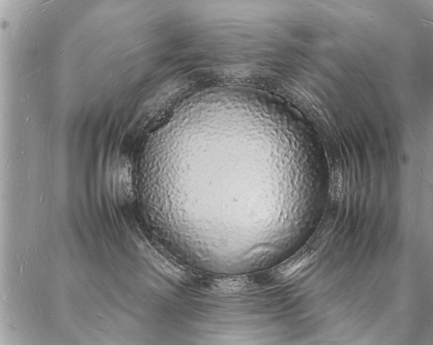 X0000088070238200705182214