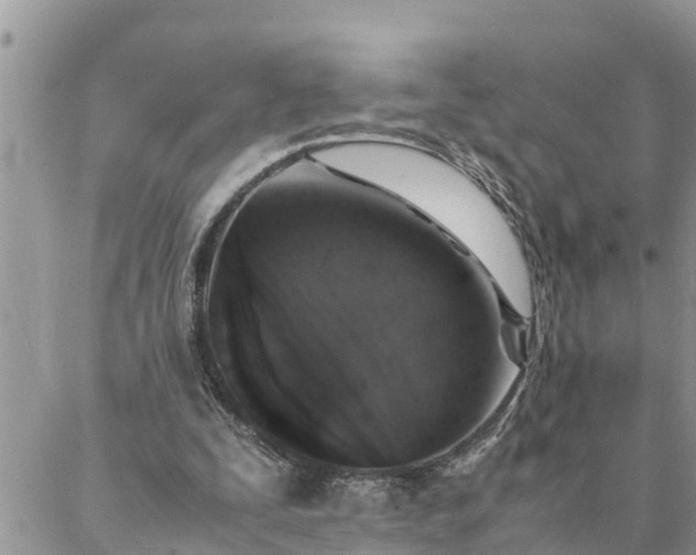 X0000088070295200705182213