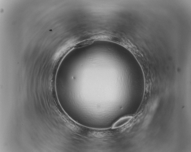 X0000088070341200705182212