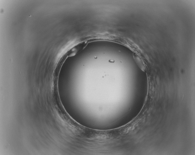 X0000088070344200705182212