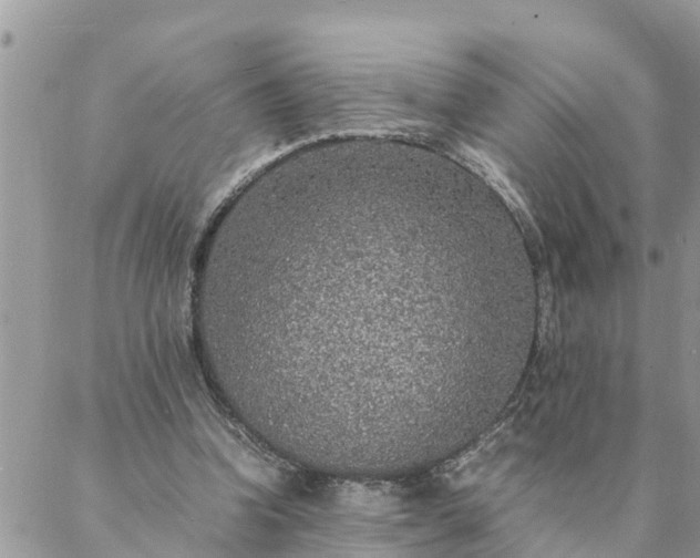 X0000088070346200705182212