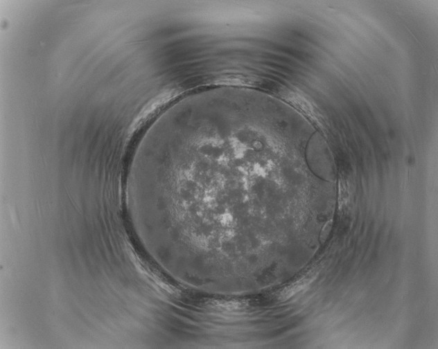 X0000088070349200705182212