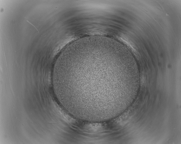 X0000088070353200705182212