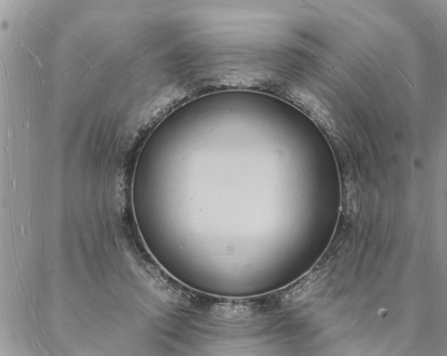 X0000088070354200705182212