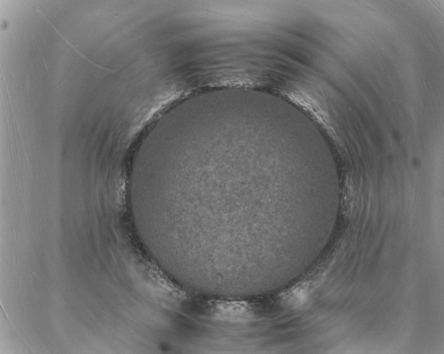 X0000088070355200705182212