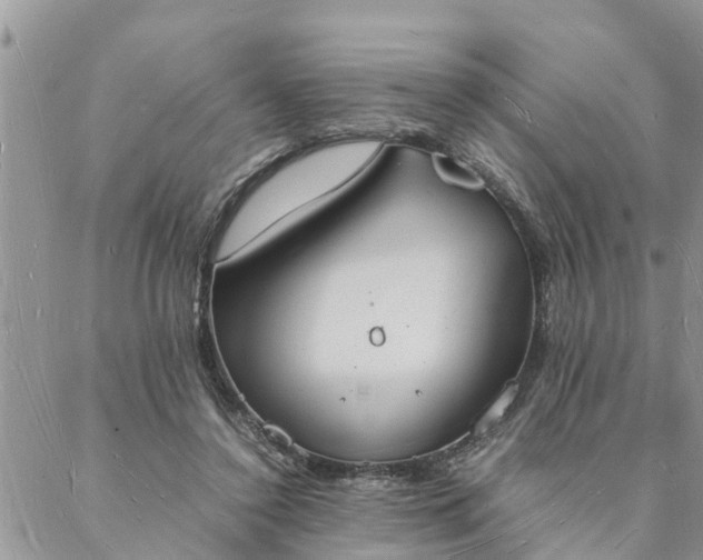 X0000088070356200705182212