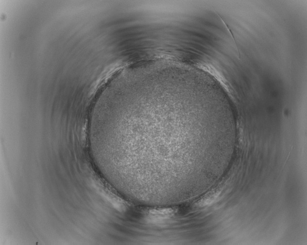 X0000088070357200705182212