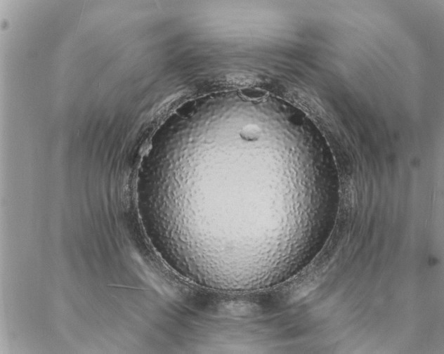 X0000088070360200705182212