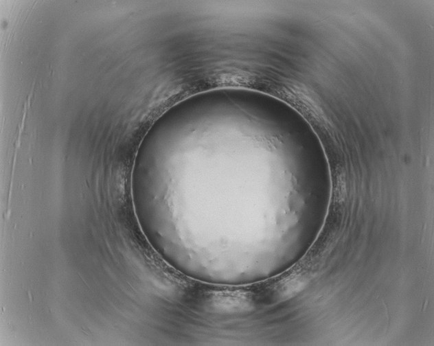 X0000088070363200705182212