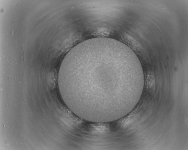 X0000088070370200705182212