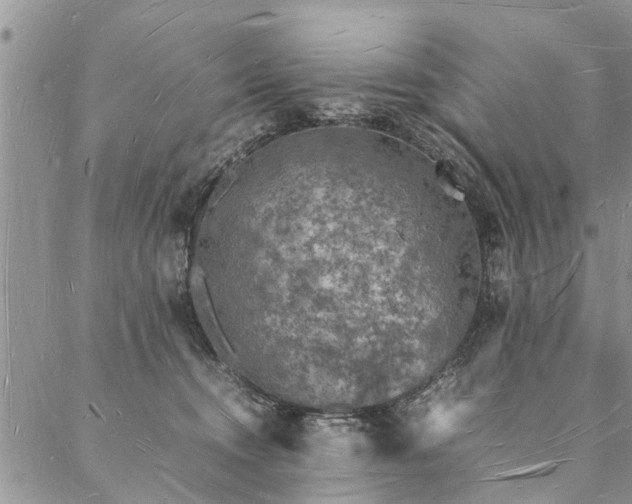 X0000088070372200705182212