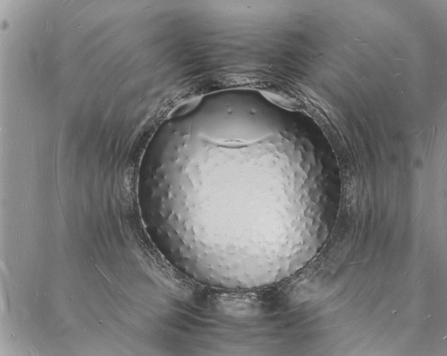 X0000088070373200705182212