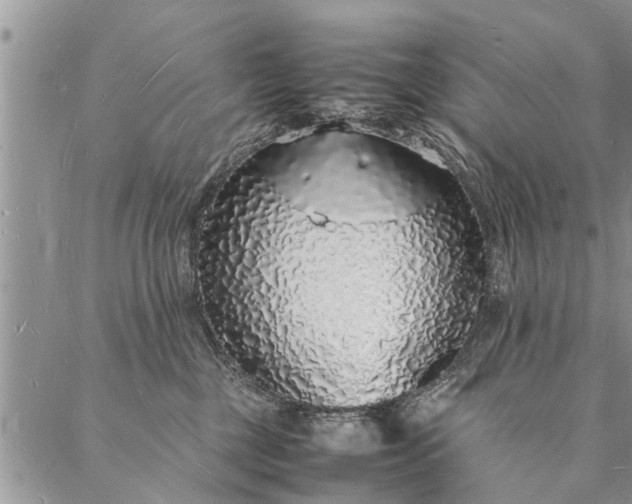 X0000088070377200705182212