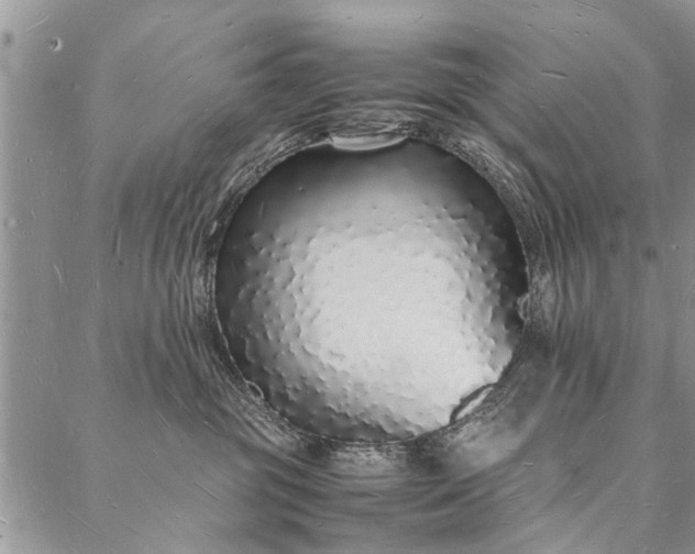 X0000088070381200705182212