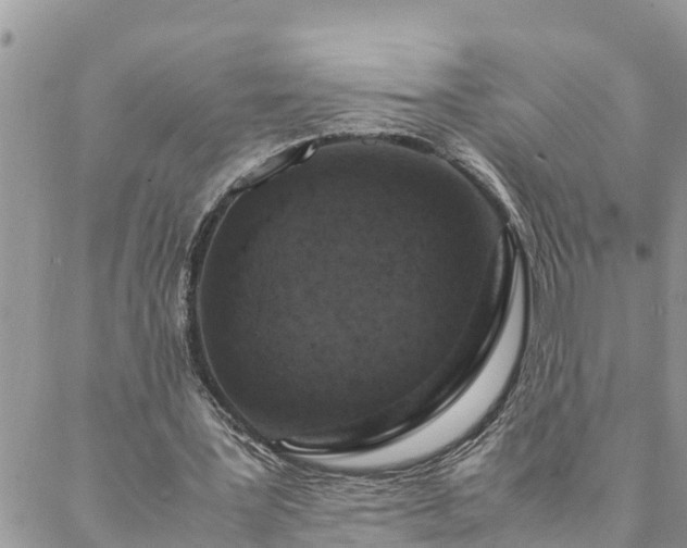 X0000088070387200705182212