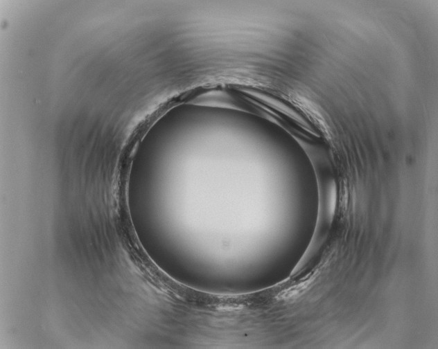 X0000088070388200705182212