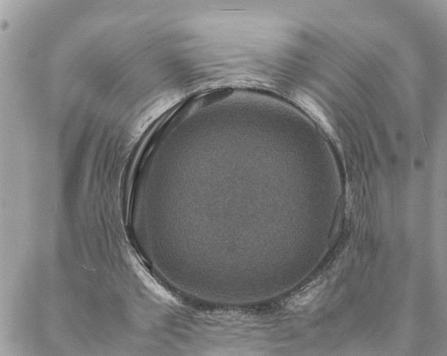 X0000088070389200705182212