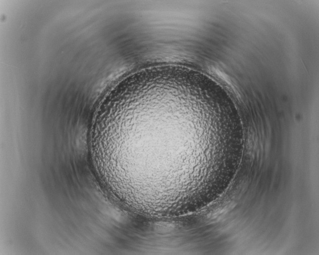 X0000088070394200705182211