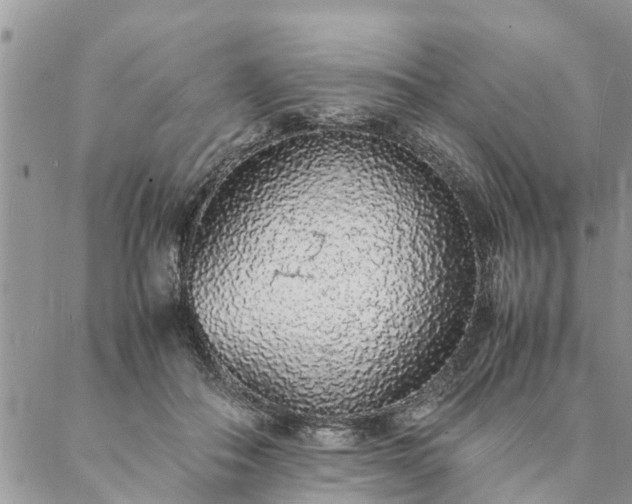 X0000088070506200705182210