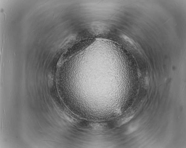 X0000088070558200705182209