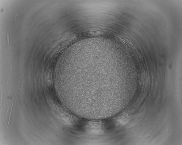 X0000088070606200705182208