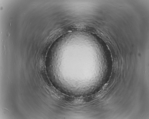 X0000088070609200705182208
