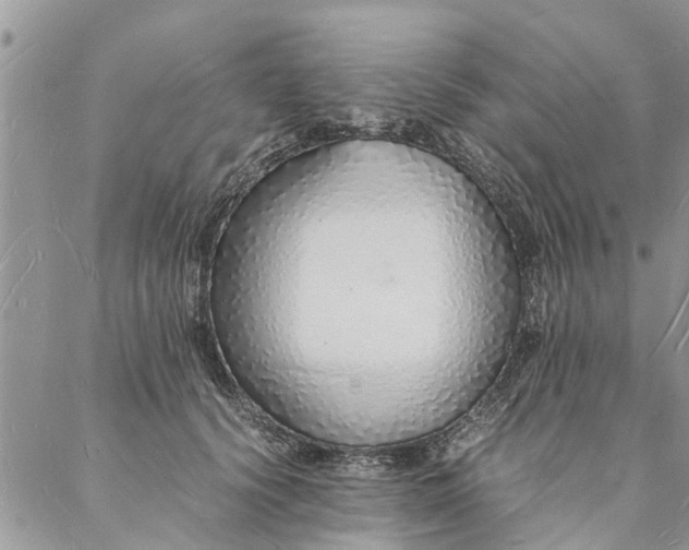 X0000088070656200705182207