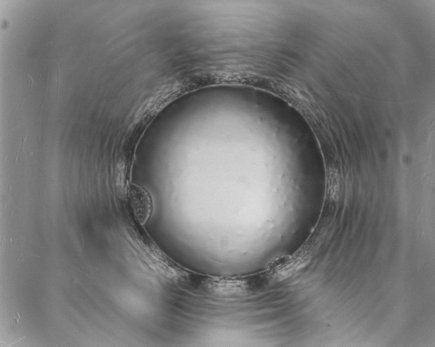 X0000088070670200705182208