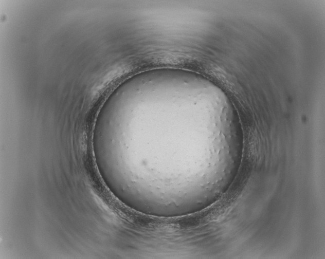 X0000088070683200705182207