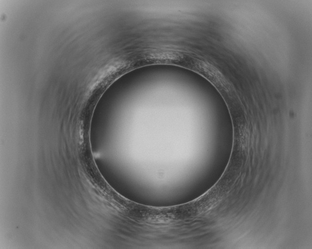X0000088070731200705182206