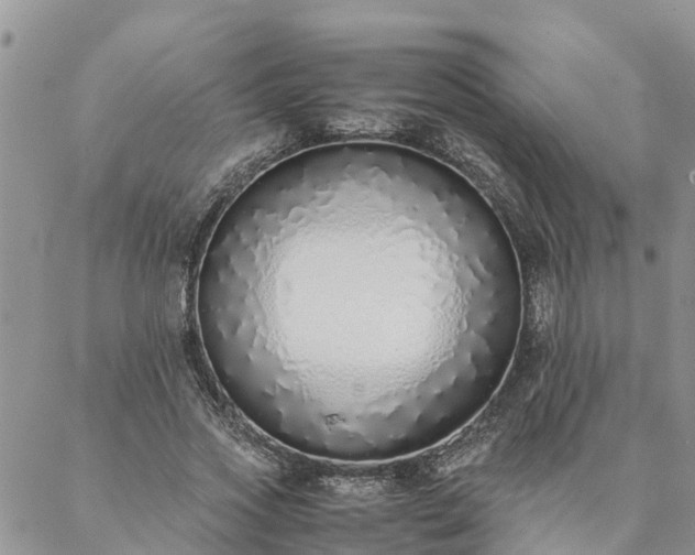 X0000088070733200705182206