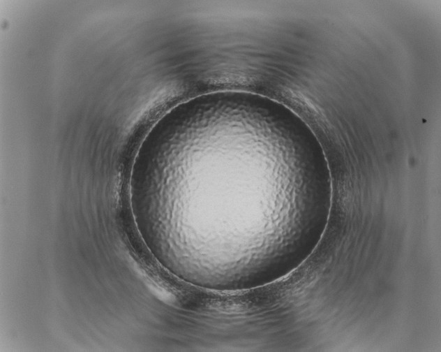 X0000088070735200705182206