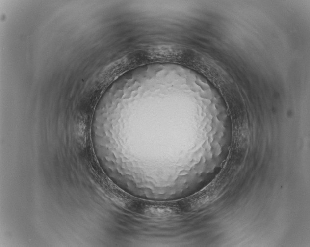X0000088070749200705182206