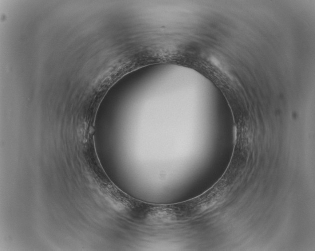 X0000088070750200705182206