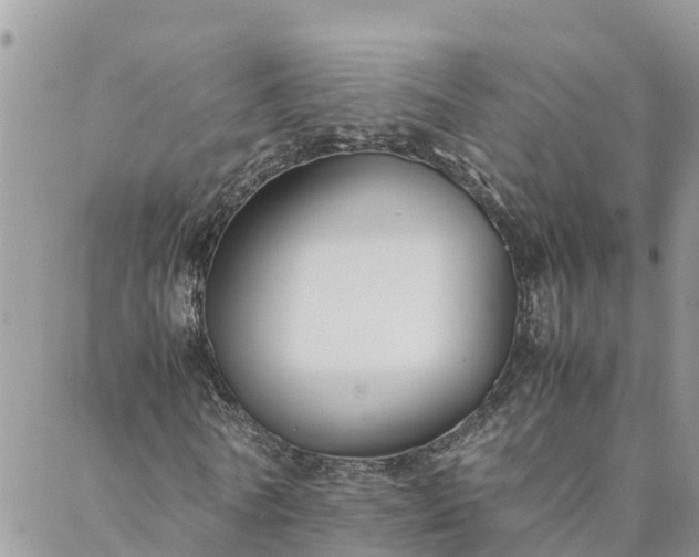 X0000088070770200705182205