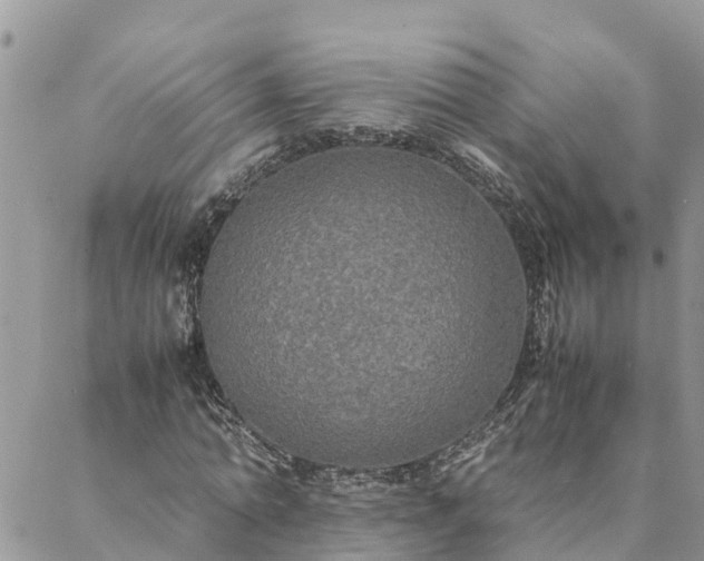 X0000088070774200705182205