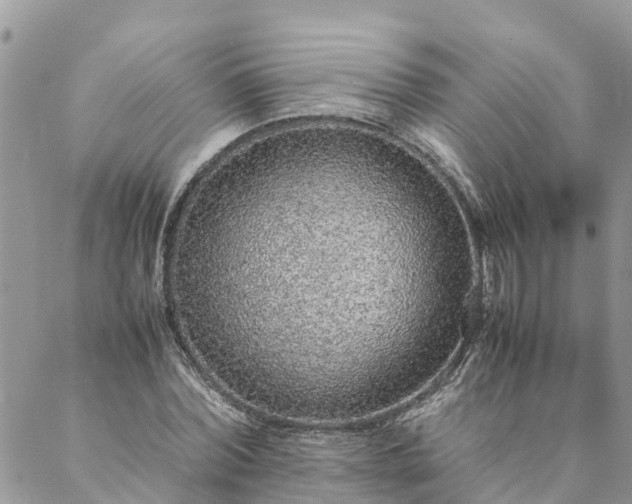 X0000088070780200705182205