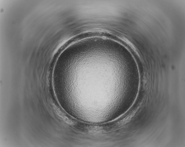 X0000088070783200705182205