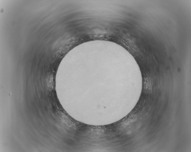X0000088070820200705182204