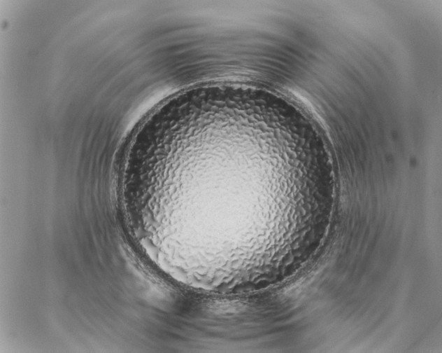 X0000088070835200705182204