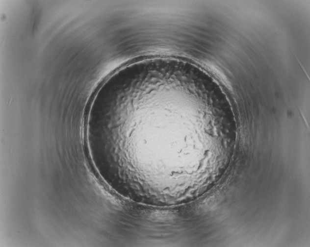 X0000088070839200705182204