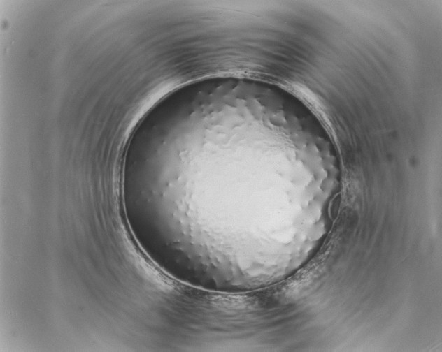 X0000088070859200705182205