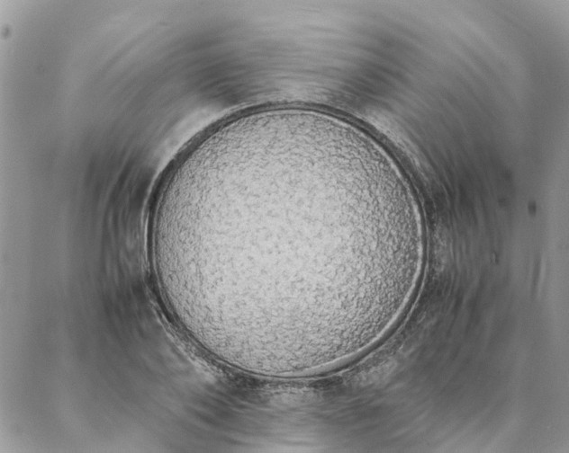 X0000088070886200705182203